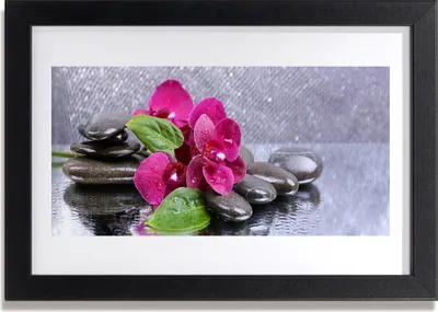 Produktbild von Bild 30x20 MDF-Rahmen Wandkunst Orchideen-Blumen-Kunst