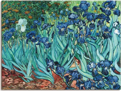 Produktbild von ARTland Leinwandbild Iris (Schwertlilien). 1889 Größe: 120x90 cm