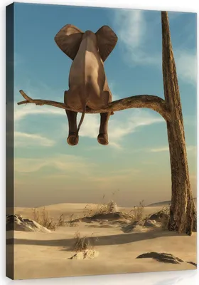 Produktbild von Leinwandbild Elefant auf dem Baum 100x70 cm XXL Tiere Kinderzimmer Schlafzimmer Wohnzimmer Canvas Bilder Wandbilder Kunstdruck Wand Bild auf Leinwand Aufhängefertig