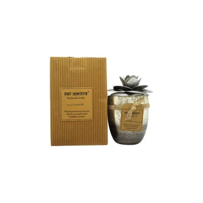Immagine prodotto di Bali Mantra Camellia Candela di vetro argentata 500 g - Pompelmo pesca