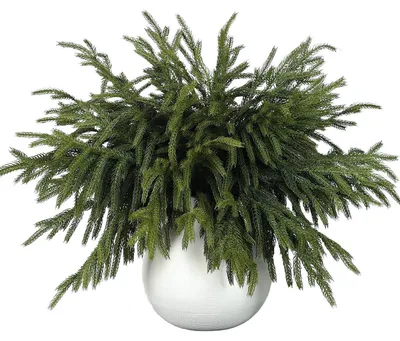Productafbeelding van Kunstmatige dennengroen takken, Norfolkspar, 45,7 cm, 32 stuks, voor decoratie