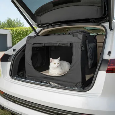 Produktbild von belviona Katzentransportbox, leichte & stabile Transporttasche Katzen, faltbar mit Mesh-Fenstern, Innenkissen & Taschen, 82x58x58 cm, schwarz