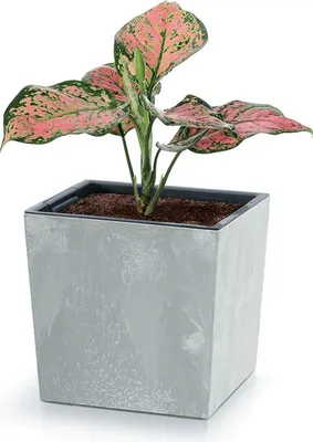 Produktbild von Blumentopf NURBI CUBE BETON EFFECT dunkelgrau 29,5 cm