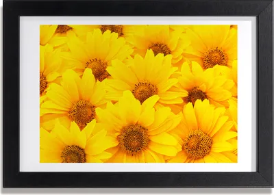 Produktbild von Bild 30x20 MDF-Rahmen, Wandkunst Sunflowers
