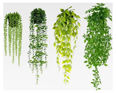 Produktbild von 4 Stück Künstliche Hängepflanzen mit Topf 50-80 cm für Innen- und Außenbereich
