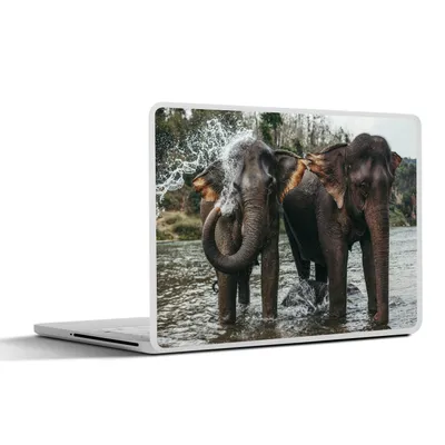 Produktbild von MuchoWow® Laptop Aufkleber Sticker Cover Elefant - Wasser - Fluss 25x18 cm - Laptop-Deko