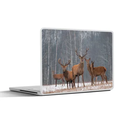 Produktbild von MuchoWow® Laptop Aufkleber Sticker Cover Hirsche - Wald - Winter 30x22 cm - Laptop-Sticker