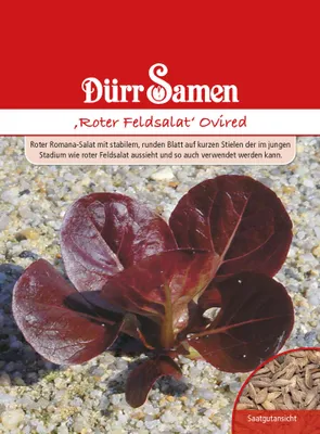 Produktbild von Dürr-Samen - Roter Feldsalat Ovired - Saatgut - 1104