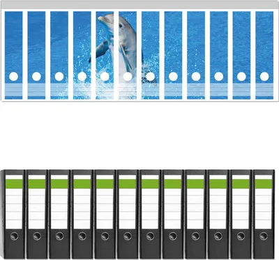 Produktbild von Wallario 12 Stück breite Ordner inkl. Klebeetiketten mit Motive Fröhlicher Delfin im blauen Wasser -  Set mit Rückenschildern / Ordnerrücken Stickern