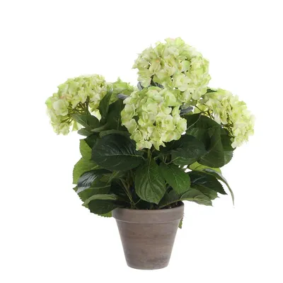 Image de Mica Decorations Hortensias Plante artificielle dans un pot de fleurs Stan - H45 x Ø45 cm - Vert