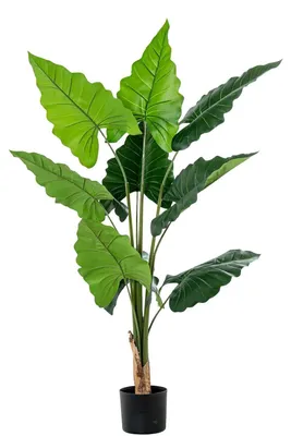 Produktbild von Alocasia Kunstpflanze mit 9 Passionsblättern aus PVC in Grün, 150 x 25 x 25 cm