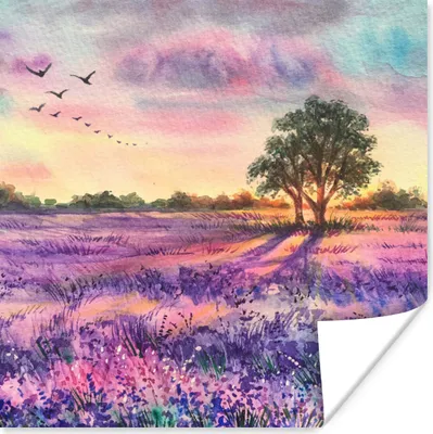 Produktbild von MuchoWow® Poster Lavendel - Farbe - Vögel - Bäume - Lila 100x100 cm - Babyzimmer