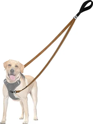 Produktbild von Zweipunktkontrolle Hundeleine für mittelgroße und große Hunde - Anti-Zug, gepolstert und reflektierend