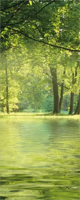 Produktbild von Wallario selbstklebendes Poster - Idyllischer See im Wald bei Sonnenschein, Größe: 80 x 200 cm