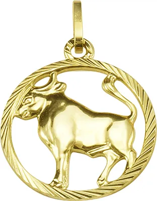 Produktbild von F Anhänger 333/- Gold 2,1cm gelb 371340715ST