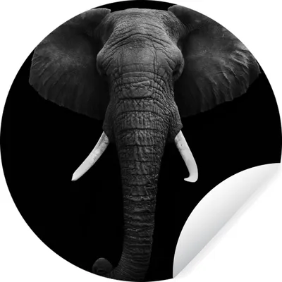 Produktbild von MuchoWow® Runde Wandtattoo - Wandsticker Tapete Aufkleber Elefant - Wildtiere - Schwarz - Weiß - Porträt Ø 100 cm Selbstklebend und Repositionierbar - Wandaufkleber - Kreis - Tapetenkreis - Wandbild rund - Schlafzimmerdekoration - Wanddeko - runde Tapete - Kunst für zu Hause