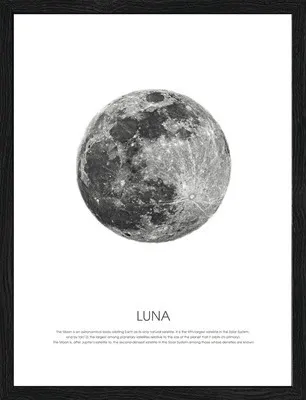 Produktbild von Gerahmtes Bild Blue moon 33x43 cm