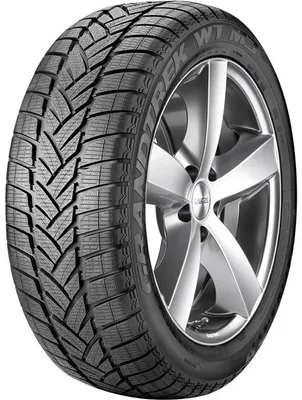 Image de Dunlop Grandtrek Wt M3 Mo (Tl) 265/55R19 109 H, Efficacité : E, Adhérence sur sol mouillé : C, Classe de bruit : 2, Sound DB : 73