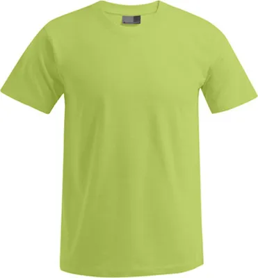 Produktbild von Promodoro Men´s Premium Herren T-Shirt - Farbe: Wild Lime - Größe: 4XL