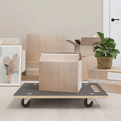 Immagine prodotto di The Living Store Tavole rotolanti 2 pezzi rettangolari 80x55x11,5 cm