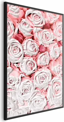 Produktbild von Posterpapier Poster - White Roses 60x90 cm Blumen b-C-0337-ao-a