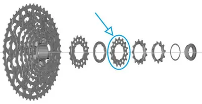 Produktbild von SHIMANO Ritzel für CS-LG700 - 15 Zähne.