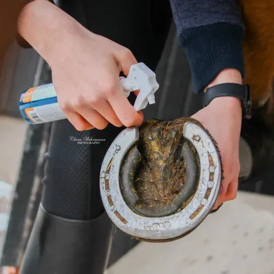 Produktbild von Stiefel Hufhärter Huffestiger Hufspray