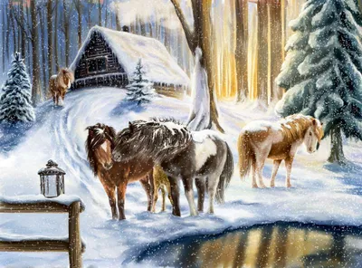 Produktbild von Wandkalender Winterpferde