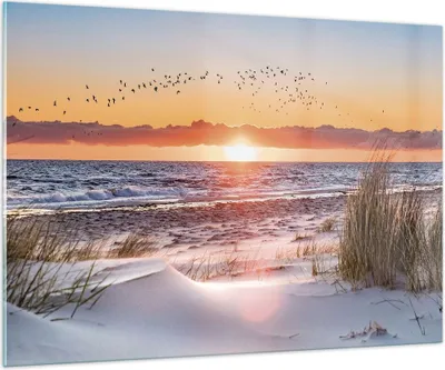 Produktbild von Bilder auf glas - Einteilig - Sonne Strand Vögel - 100x70cm - Glasbilder - Wandbilder - Bilder - zum Aufhängen bereit - Wanddekoration aus Glas - Glas Bilder - Wandbild auf Glas - GAA100x70-4727