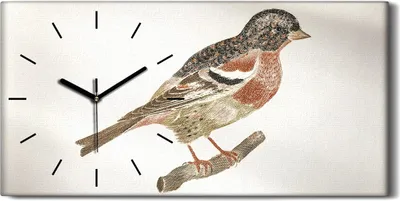 Produktbild von Wanduhr Bürouhr Leinwand Bild Geräuschlos 60x30 Zeichnung Tier Vogel Zweig Kunst - schwarze Hände