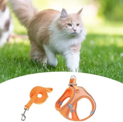 Produktbild von Atmungsaktives Hundegeschirr und Leinen-Set, verstellbar und ausbruchsicher für Welpen und Kätzchen, ideal für Nachtspaziergänge und Autofahrten