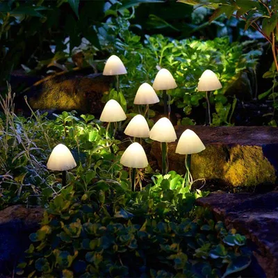 Image de Lot de 10 lampes solaires Funghi