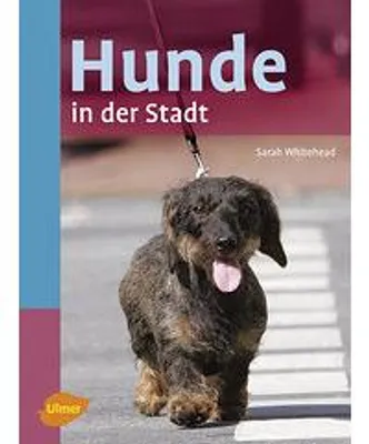 Immagine prodotto di Hunde in der Stadt