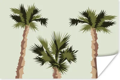 Produktbild von MuchoWow® Poster Palme - Sommer - Tropisch 90x60 cm - Schlafzimmer