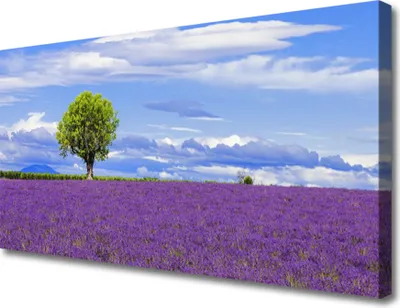 Produktbild von Tulup Leinwand-Bilder 100x50 Wandbild Canvas Kunstdruck Wiese Baum Natur