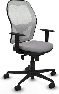 Image de Bürostuhl Piqueras y Crespo 1D036N0 Grau