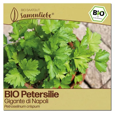 Produktbild von Samenliebe  Petersilie Samen | Gigante di Napoli - winterhart & zweijährig & großblättrig - samenfestes  Saatgut