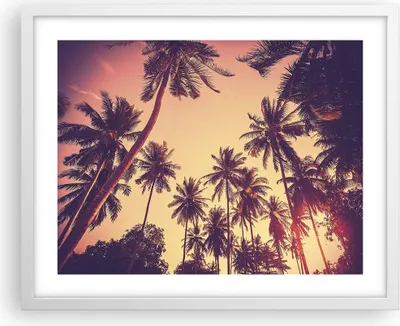 Produktbild von Gerahmtes Poster - Weißer Rahmen - Palmen Himmel Sonne - 50x40 cm - Wand Bild - Wanddeko - Wandbilder - Kunstposter - Wandposter - Bilderrahmen - Bilder - Kunstdruck - Wandbild - P2WAA50x40-4220