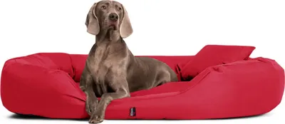 Produktbild von tierlando® Orthopädisches Hundebett SAMMY | Robuster Polyester | Dicke Umrandung - Größe: 140x105cm | Farbe: 04 Dunkelrot