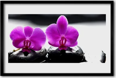 Produktbild von Bild 60x40 MDF-Rahmen Wandkunst Orchideen-Blumen-Natur