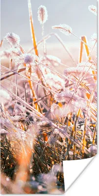 Produktbild von MuchoWow® Poster Gras - Sonne - Winter - Schnee 75x150 cm - Dekoration für die Wände