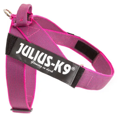 Immagine prodotto di Julius-K9, cintura IDC® Colour e Gray®