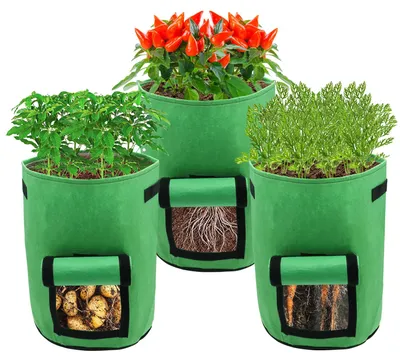 Image de Ensemble de 3 sacs de plantation Ikodm de 38 litres, avec fenêtre transparente et poignées de transport, sacs de plantation pliables pour serre, terrasse et jardin