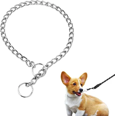 Produktbild von Hundehalsband 50 cm, Edelstahl, verstellbar, für Training
