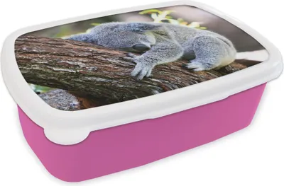 Produktbild von KitchenYeah® Lunchbox Brotzeit Brotdose 17x11 cm Koala - Baum - Schlaf - Kinder - Jungen - Mädchen Kinder Brotzeitdose - Lunchpaket - Brotkasten  - Sandwich Box