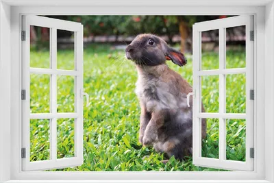 Produktbild von Wallario Poster mit Fenster-Illusion: Kaninchen im Garten mit süßem Blick, Größe: 100 x 150 cm