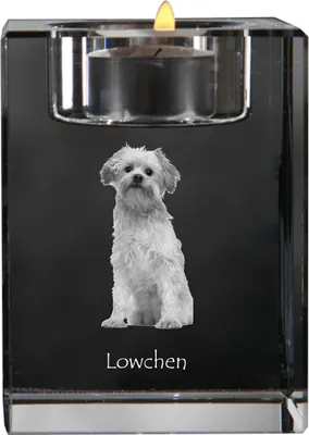 Produktbild von Löwchen - Kerzenhalter mit Hundefoto, Teelichthalter aus Kristall, personalisiertes Geschenk der Marke Art-Dog