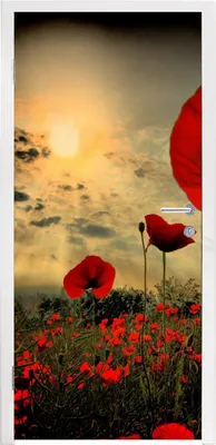 Obrázek produktu pro MuchoWow® Plakát na dveře - Večerní máky - 235x90 cm - Samolepicí fólie na dveře
