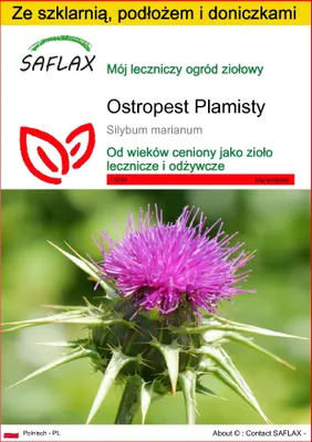 Zdjęcie produktu dla SAFLAX - Zestaw do uprawy - Ostropest Plamisty - 75 Nasiona - Z mini szklarnią, podłożem uprawowym i 2 doniczkami - Silybum marianum