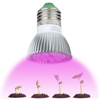A grow light bulb illuminating four stages of plant growth from seedling to a small plant.